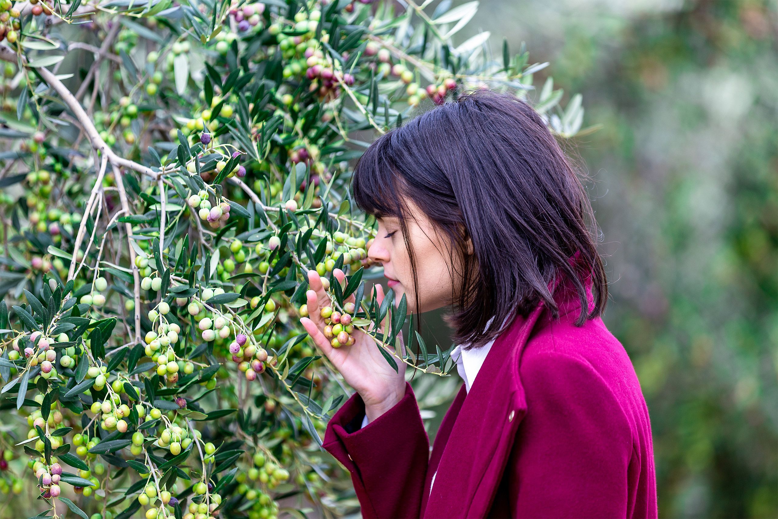 La actriz Cumelen Sanz ha protagonizado el nuevo video promocional para Escornalbou Gourmet - Aceite De Oliva Virgen Extra 100% Arbequina. Cómpralo en nuestra tienda online.