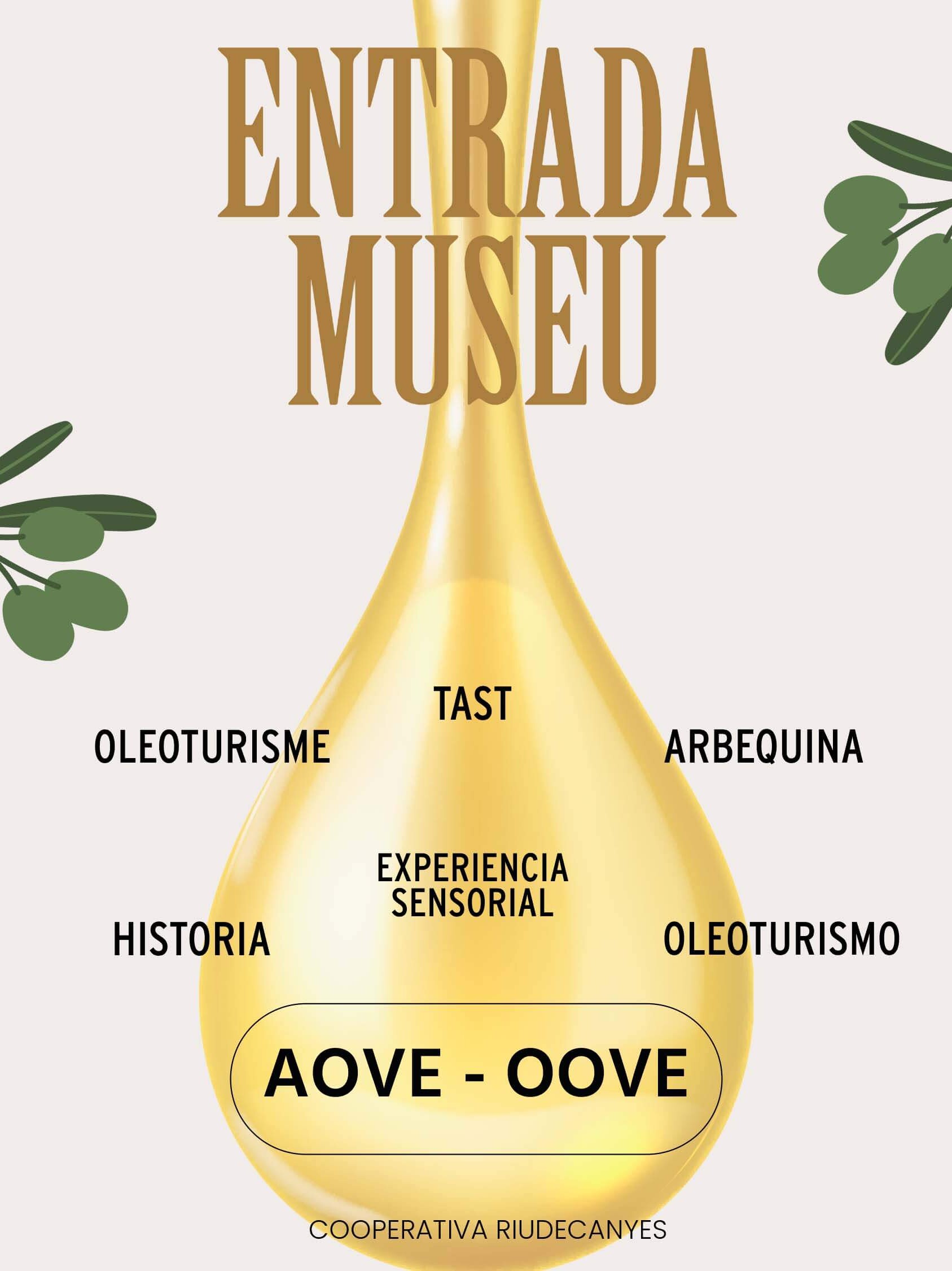 Entrada individual visita al museo del Aceite De Oliva Virgen Extra